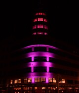 Pink Ribbon / Flagey